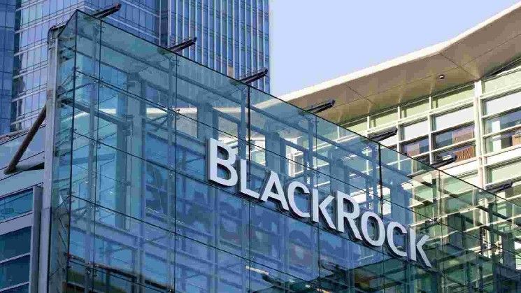 بلاك روك توزع أرباحاً في 22 سبتمبر؛ إليك عائد 100 سهم BLK