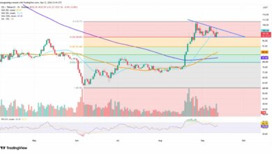 سعر سولانا يترقب اختراقاً مع تدفق 6 مليارات دولار من الرافعة المالية