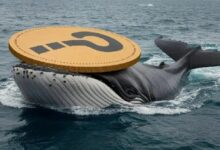 قائمة أفضل 10 عملات رقمية بديلة شهدت أكبر ارتفاع في معاملات الحيتان