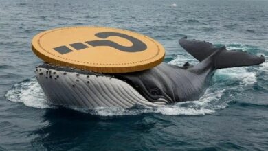 قائمة أفضل 10 عملات رقمية بديلة شهدت أكبر ارتفاع في معاملات الحيتان