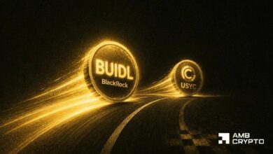 بلاك روك BUIDL يتفوق على USYC من سيركل – سباق الأصول الرمزية للخزانة يشتعل