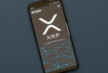 انخفاض الحسابات النشطة في XRP Ledger سنويًا مع ارتفاع قيمة وحجم التداولات