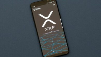 انخفاض الحسابات النشطة في XRP Ledger سنويًا مع ارتفاع قيمة وحجم التداولات