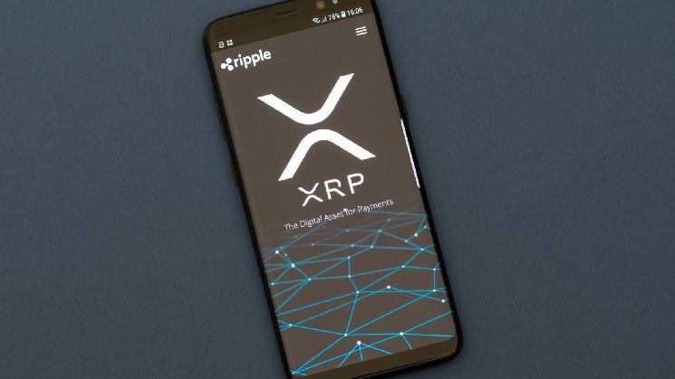 انخفاض الحسابات النشطة في XRP Ledger سنويًا مع ارتفاع قيمة وحجم التداولات
