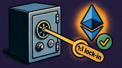 عملة فيديليتي الرقمية المستقرة بالدولار تبلغ 50 مليون دولار مع تصاعد الطلب المؤسسي