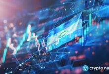 الأرجنتين تلتزم بإطار OECD للإبلاغ الضريبي عن العملات المشفرة بحلول 2029