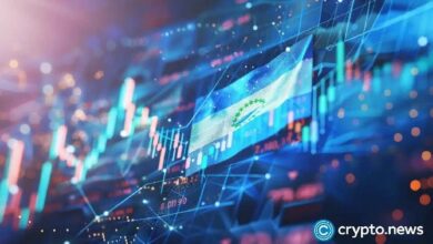 الأرجنتين تلتزم بإطار OECD للإبلاغ الضريبي عن العملات المشفرة بحلول 2029