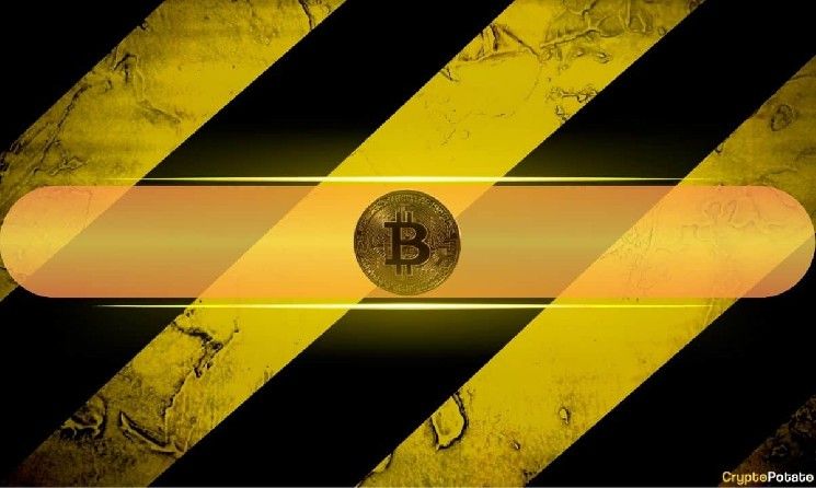 حاملو البيتكوين يجنون أرباح 110 آلاف عملة رقمية: هل نشهد انهيارًا أكبر في السعر؟