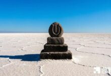 عملة Useless Coin تقفز 300% وتلامس أعلى مستوى في 10 أشهر – هل يتمكن الثيران من الصمود؟