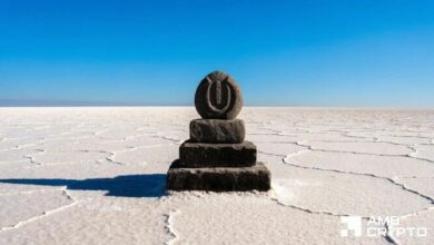 عملة Useless Coin تقفز 300% وتلامس أعلى مستوى في 10 أشهر – هل يتمكن الثيران من الصمود؟