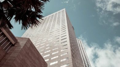 سولانا تقفز إلى 888 ألف عنوان يومي للعملات المستقرة بنمو 269% سنوياً