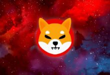 هل مستقبل شيبا إينو (SHIB) الصاعد بات موضع شك؟