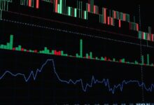 ألفا فاي ترعى قمة Sui Basecamp كراعٍ ماسي