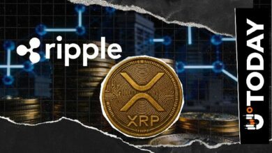 مسؤول في Ripple: استخدام XRP القاتل يكمن في الضمانات المؤسسية