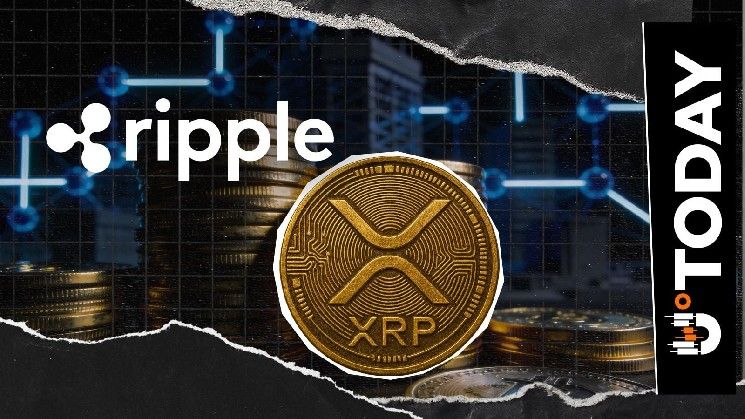 مسؤول في Ripple: استخدام XRP القاتل يكمن في الضمانات المؤسسية