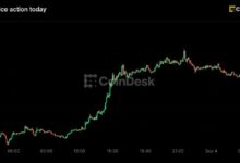 بيتكوين يعود فوق 81,000 دولار مع تراجع احتمالات رفع الفائدة، وزيكاش يقود المكاسب بارتفاع 15%
