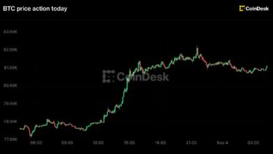 بيتكوين يعود فوق 81,000 دولار مع تراجع احتمالات رفع الفائدة، وزيكاش يقود المكاسب بارتفاع 15%
