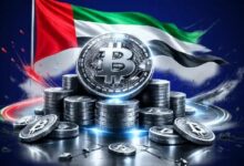 الإمارات تدمج بلوكشين أفالانتش في منصتها الوطنية للهوية الرقمية