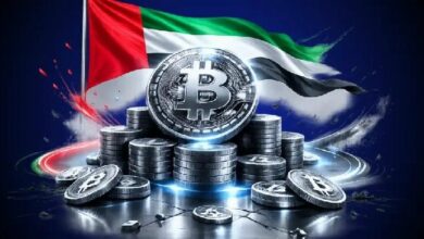 الإمارات تدمج بلوكشين أفالانتش في منصتها الوطنية للهوية الرقمية