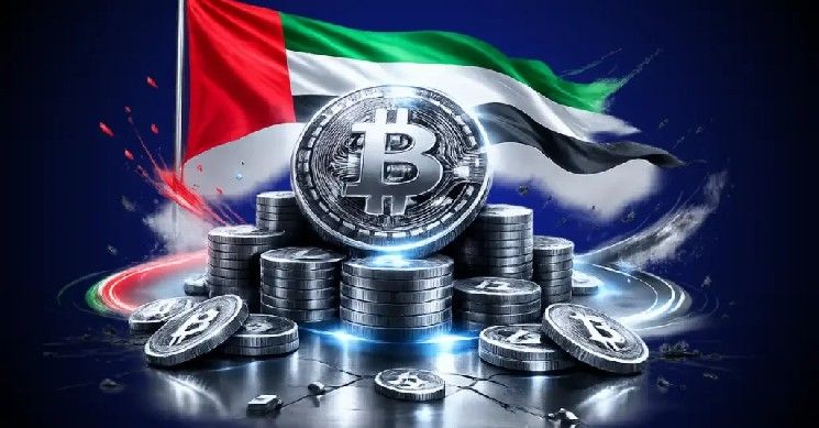 الإمارات تدمج بلوكشين أفالانتش في منصتها الوطنية للهوية الرقمية