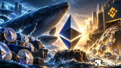 هل يمكن لشراء الحيتان بقيمة 100 مليون دولار أن يواجه تدفقات 709 آلاف إيثريوم إلى باينانس؟