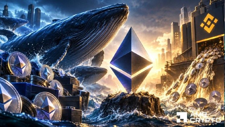 هل يمكن لشراء الحيتان بقيمة 100 مليون دولار أن يواجه تدفقات 709 آلاف إيثريوم إلى باينانس؟
