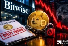 دوجكوين: Bitwise تصفّي صندوق BWOW، لكن هل يستطيع DOGE الصمود أمام هذا؟