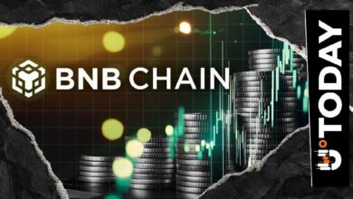سلسلة BNB تتجاوز سولانا لتصبح أسرع الشبكات نمواً من حيث قيمة الأصول الحقيقية