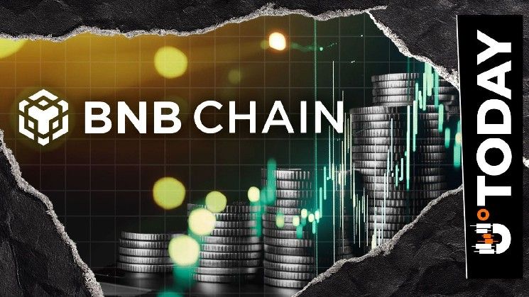 سلسلة BNB تتجاوز سولانا لتصبح أسرع الشبكات نمواً من حيث قيمة الأصول الحقيقية