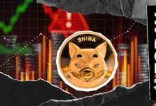 حوت شيبا إينو الضخم يفرّغ مئات المليارات من توكنات SHIB