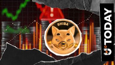 حوت شيبا إينو الضخم يفرّغ مئات المليارات من توكنات SHIB