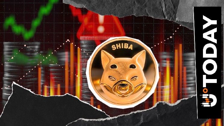 حوت شيبا إينو الضخم يفرّغ مئات المليارات من توكنات SHIB