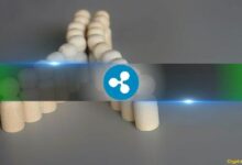 محلل: تحركات XRP القادمة تتوقف على هذه المستويات السعرية الرئيسية