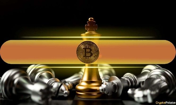 بيتكوين عند 80 ألف دولار أقوى مما يبدو: BTC تصمد أمام عاصفة مثالية من الأخبار السلبية