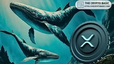 عمليات حيتان XRP تسحب أكثر من 165 مليون دولار من المنصات، الأعلى منذ فبراير