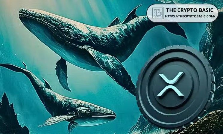 عمليات حيتان XRP تسحب أكثر من 165 مليون دولار من المنصات، الأعلى منذ فبراير