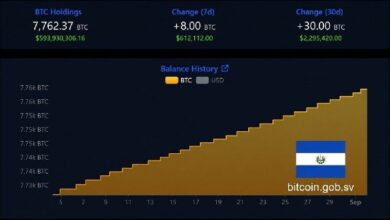 احتياطي السلفادور من البيتكوين يرتفع إلى 7,762 عملة رغم تحفظات صندوق النقد الدولي