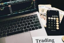قفزة بنسبة 619% في حاملي الأسهم المرمزة، وسلسلة BNB في الصدارة