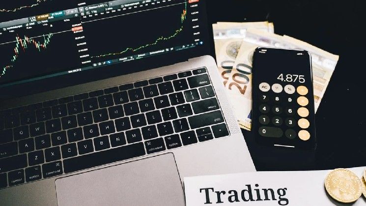 قفزة بنسبة 619% في حاملي الأسهم المرمزة، وسلسلة BNB في الصدارة