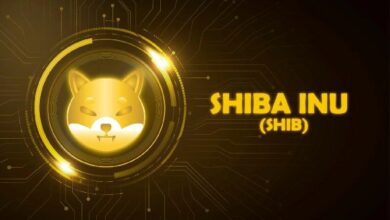 نمط كبير لعملة شيبا إينو (SHIB): اختراق المثلث يقترب مع تجاوز تركيز الحيتان 94.68%