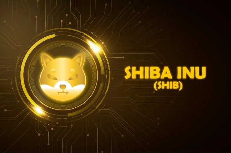 نمط كبير لعملة شيبا إينو (SHIB): اختراق المثلث يقترب مع تجاوز تركيز الحيتان 94.68%