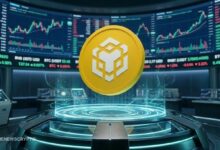 استغلال BNB Chain يسحب 62 WBNB عبر موافقات الرموز القائمة