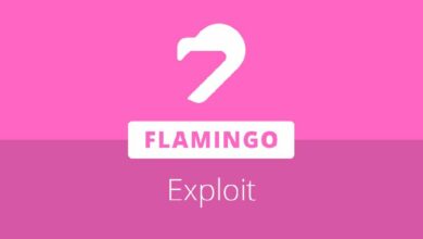 اختراق Flamingo Finance عبر ثغرة في عقد التخزين وسك تريليونات من عملة FLM