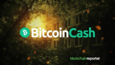 "غрейسكيل" تتقدم بطلب لتحويل صندوق "بيتكوين كاش" إلى صندوق مؤشرات متداولة فوري لبيتكوين كاش