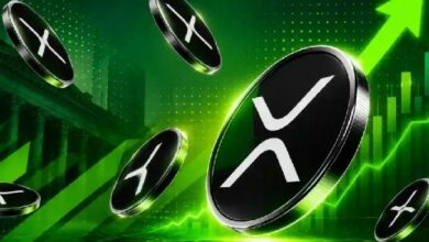 خبر Ripple [XRP]: محذر يحذر من مصادرة الأصول وقفزة سعرية مفاجئة