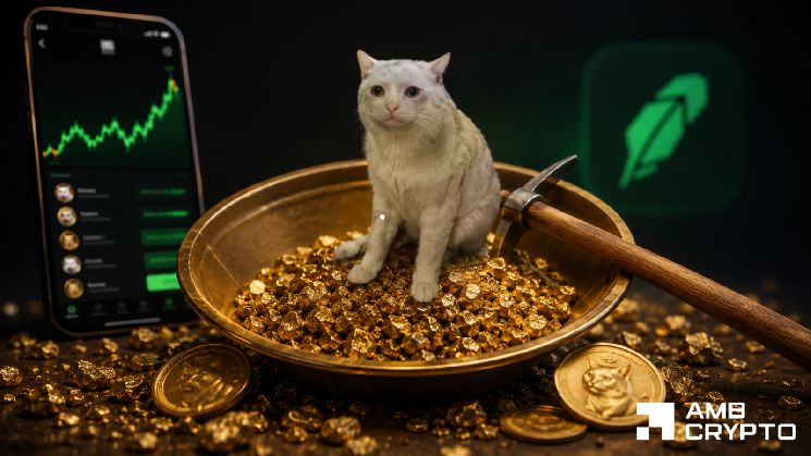 تقييم قفزة كاش كات بنسبة 29% مع تصفيات تبلغ 611 ألف دولار: ما التالي؟