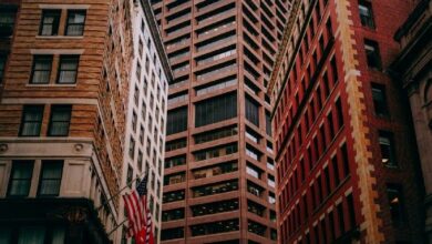 استقلالية الذكاء الاصطناعي تعتمد على تقنية DLT الموثوقة، بحسب د. ليمون بيرد
