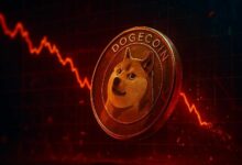 سعر دوجكوين اليوم يستقر عند 0.08 دولار مع انخفاض القيمة السوقية بنسبة 2.98%