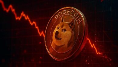 سعر دوجكوين اليوم يستقر عند 0.08 دولار مع انخفاض القيمة السوقية بنسبة 2.98%