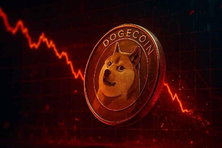 سعر دوجكوين اليوم يستقر عند 0.08 دولار مع انخفاض القيمة السوقية بنسبة 2.98%